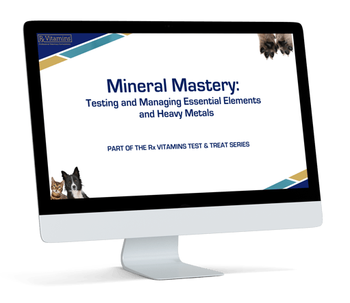 Mineral_Mastery_iMac