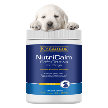 NutriCalm-Soft-Chews-Slider
