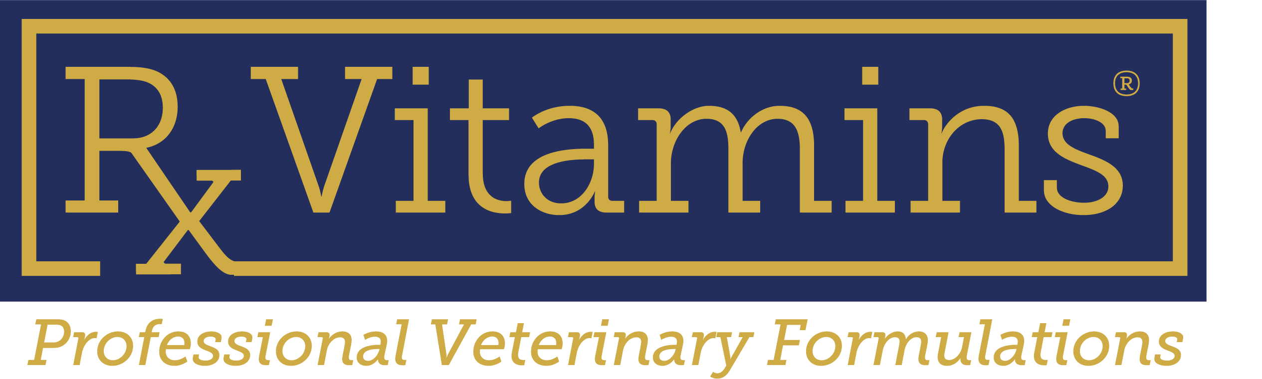 Rx Vitamins Logo Medium Navy