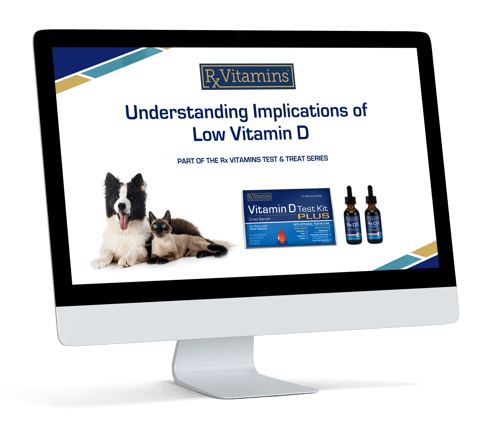 RxV_VitaminD_Webinar_PNG