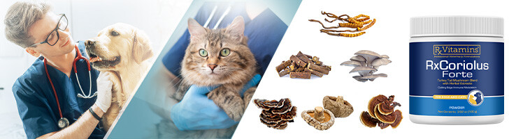 RxCoriolus Forte