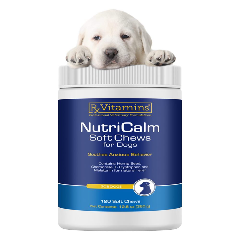 Nutricalm for Dogs